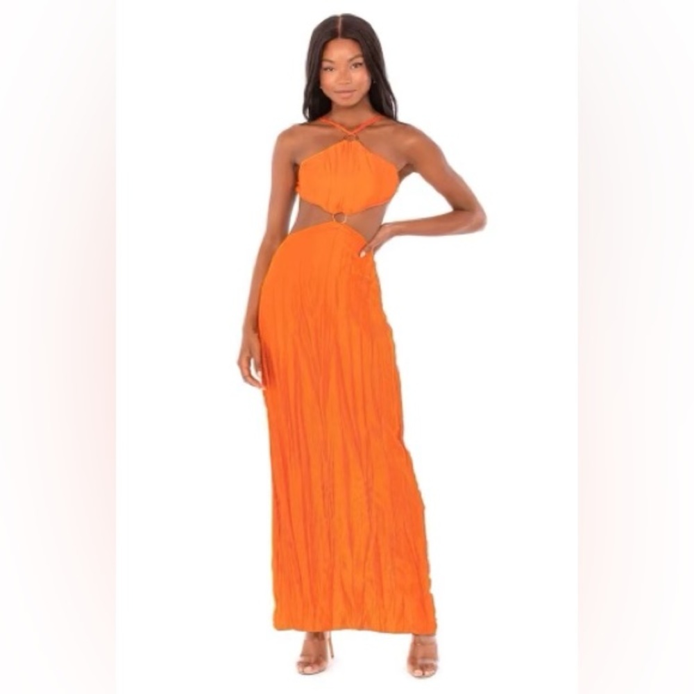 Baobab Backless Dress - Picture 3 of 5